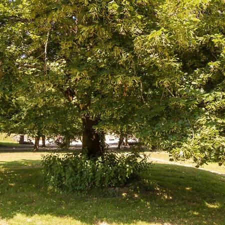 Heritage In Chaleix With Garden *